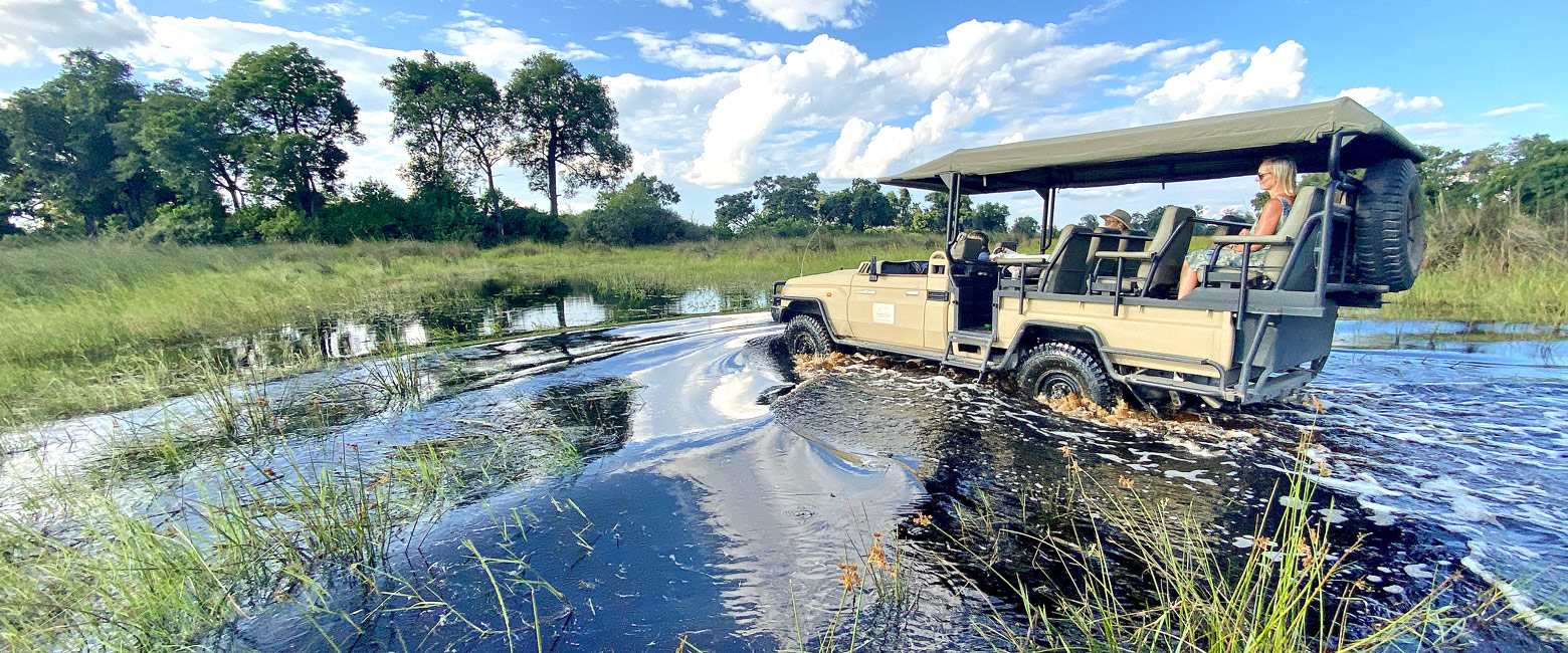 let us know your thoughts about Botswana and we will help you create the perfect safari 