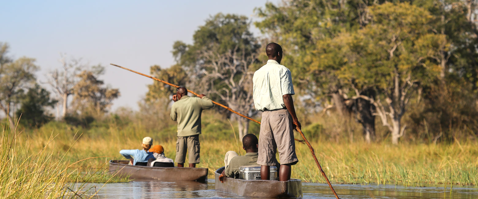 let us know your thoughts about Botswana and we will make sure to deliver the perfect safari 