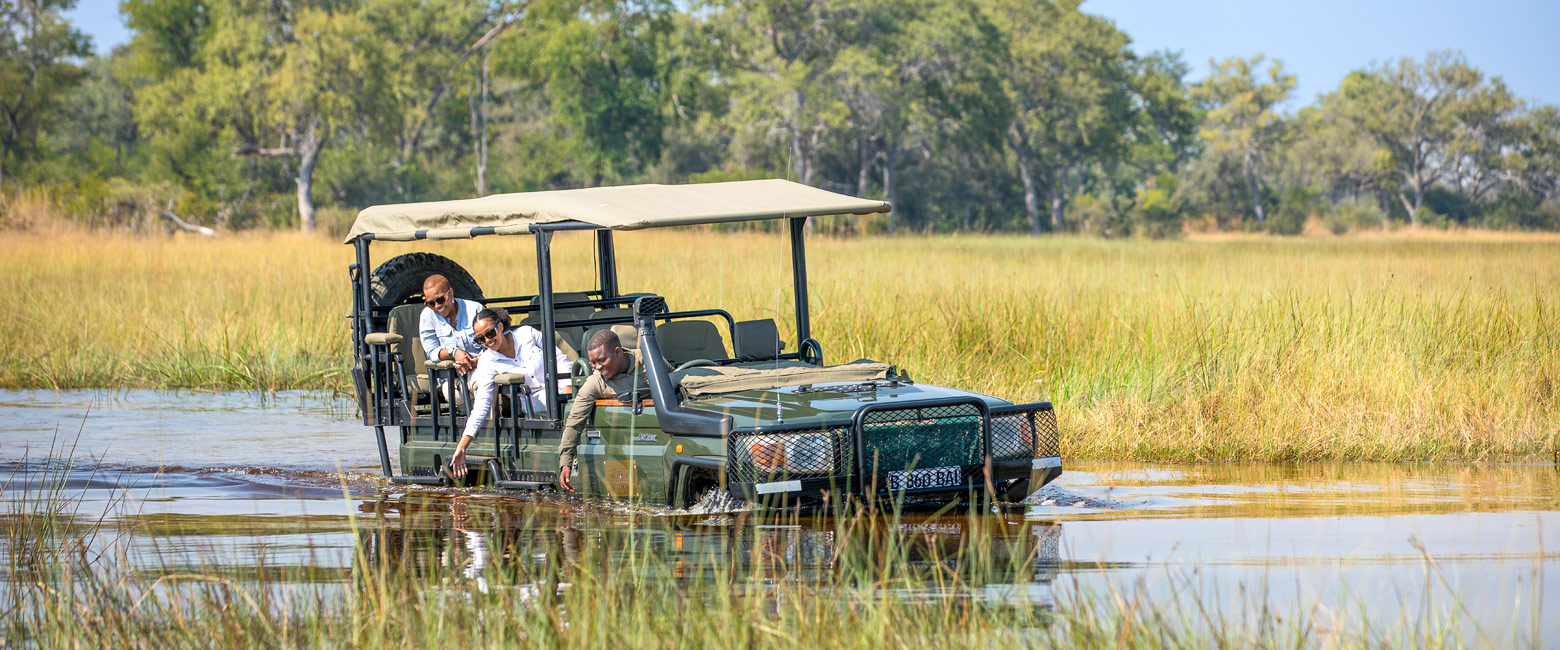 let us know your thoughts about Botswana and we will make sure to deliver the perfect safari 