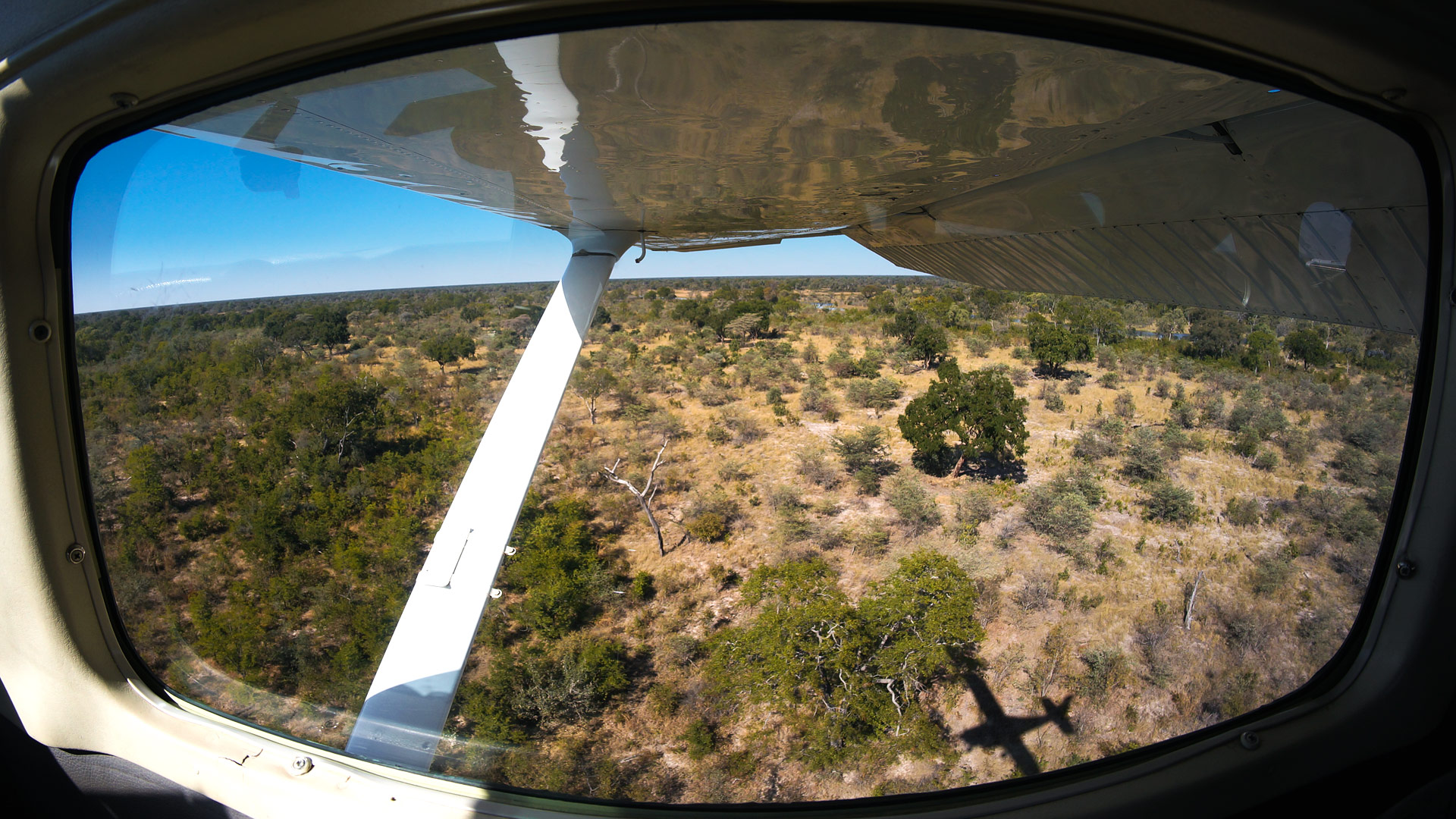 Okavango Selinda South