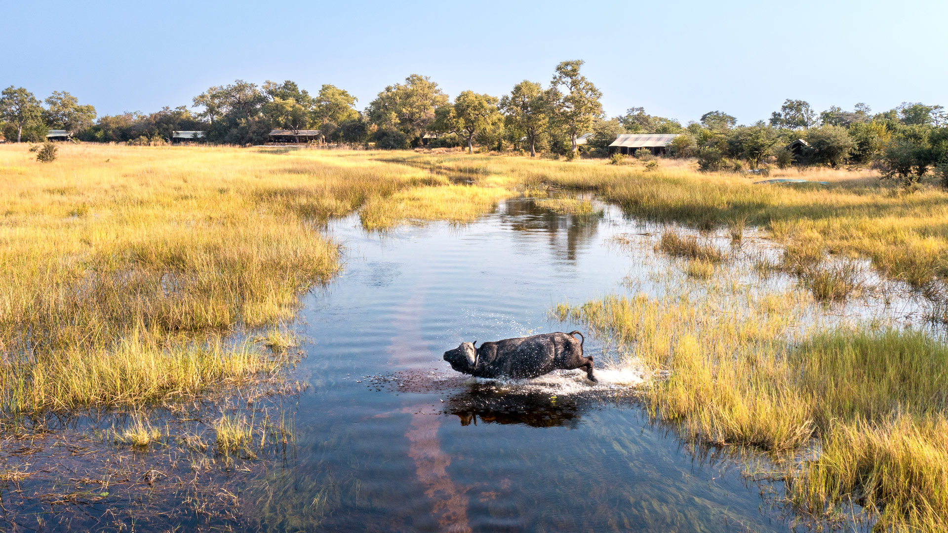 Okavango Explorers Camp