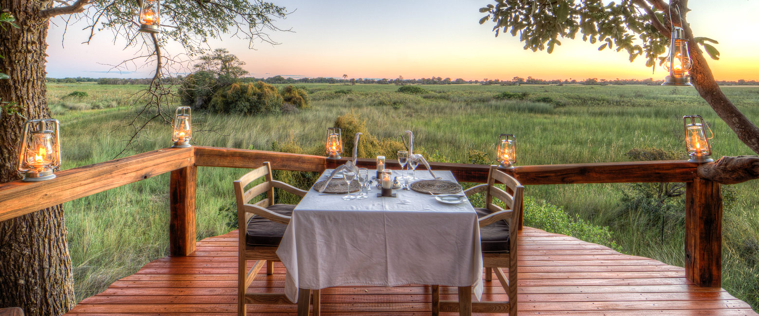 let us know your thoughts about Botswana and we will help you create the perfect safari 