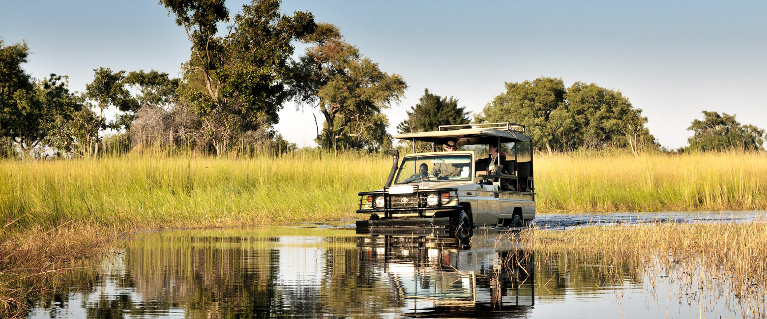 let us know your thoughts about Botswana and we will help you create the perfect safari
