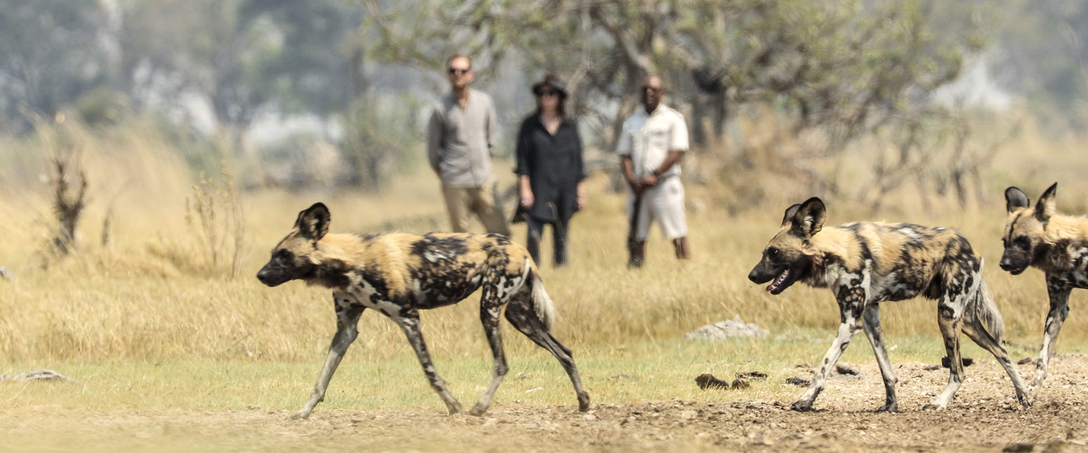 let us know your thoughts about Botswana and we will help you create the perfect safari