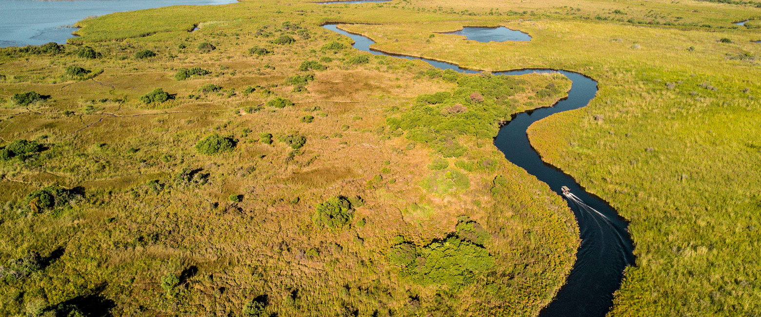 let us know your thoughts about Botswana and we will help you create the perfect safari