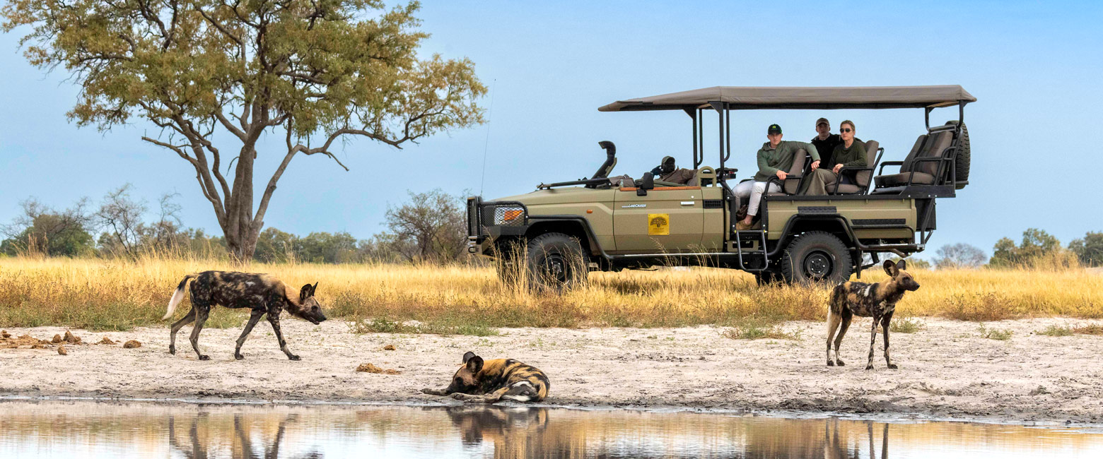 let us know your thoughts about Botswana and we will help you create the perfect safari