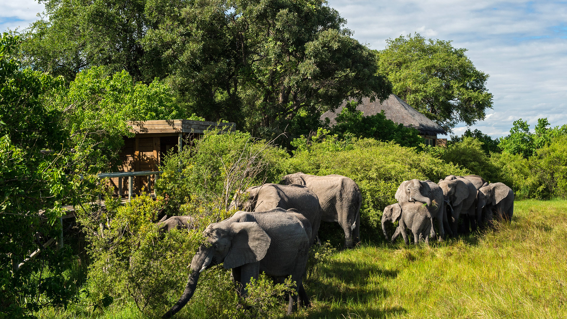 Okavango Vumbura