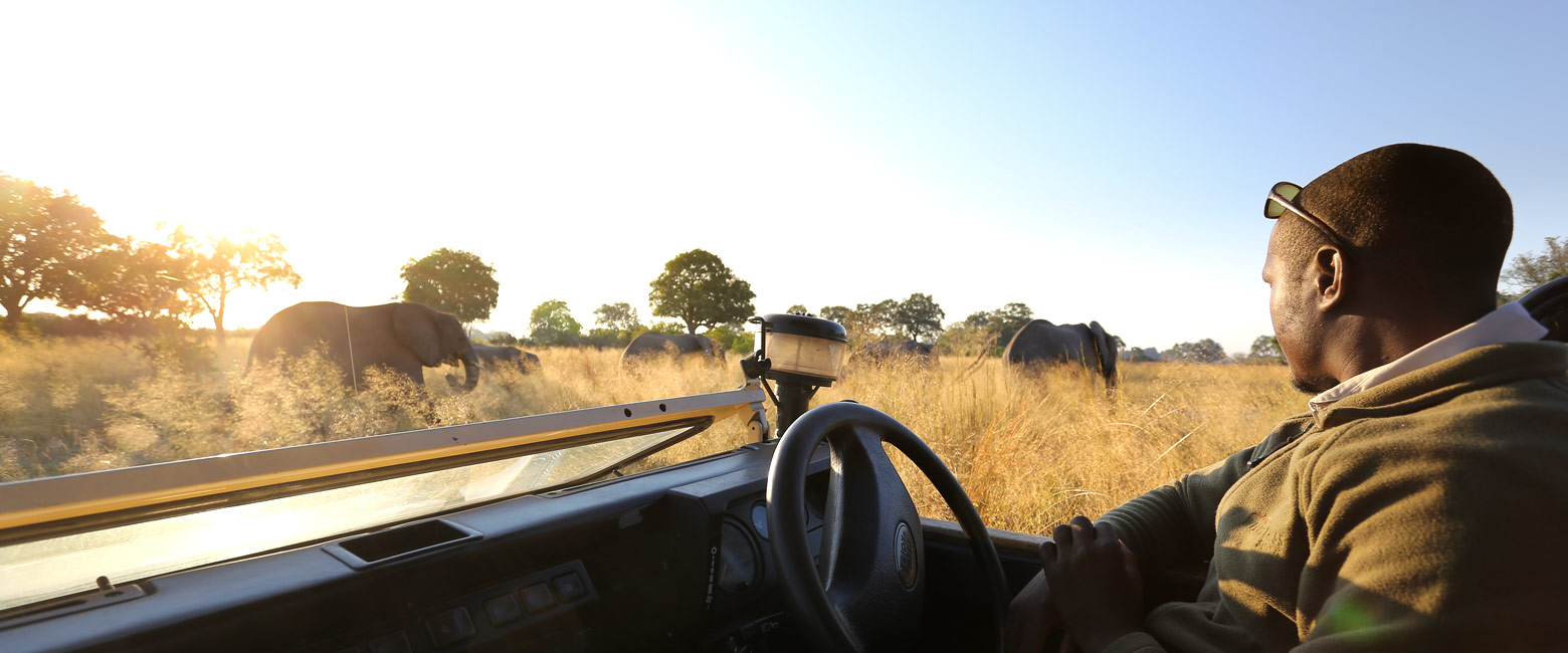 let us know your thoughts about Botswana and we will help you create the perfect safari 
