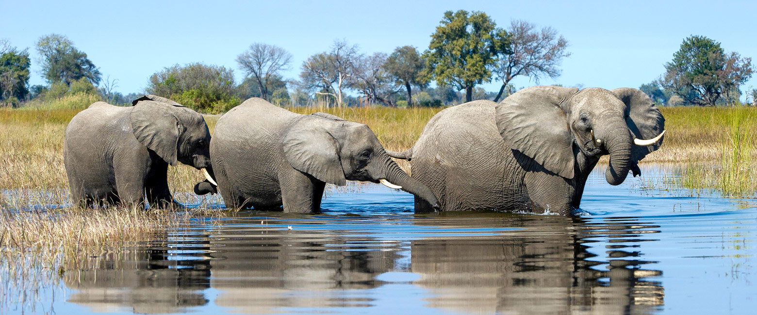 is a relatively characterful property in the Okavango Delta