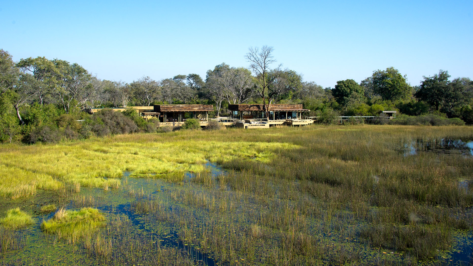 Vumbura Plains Camp
