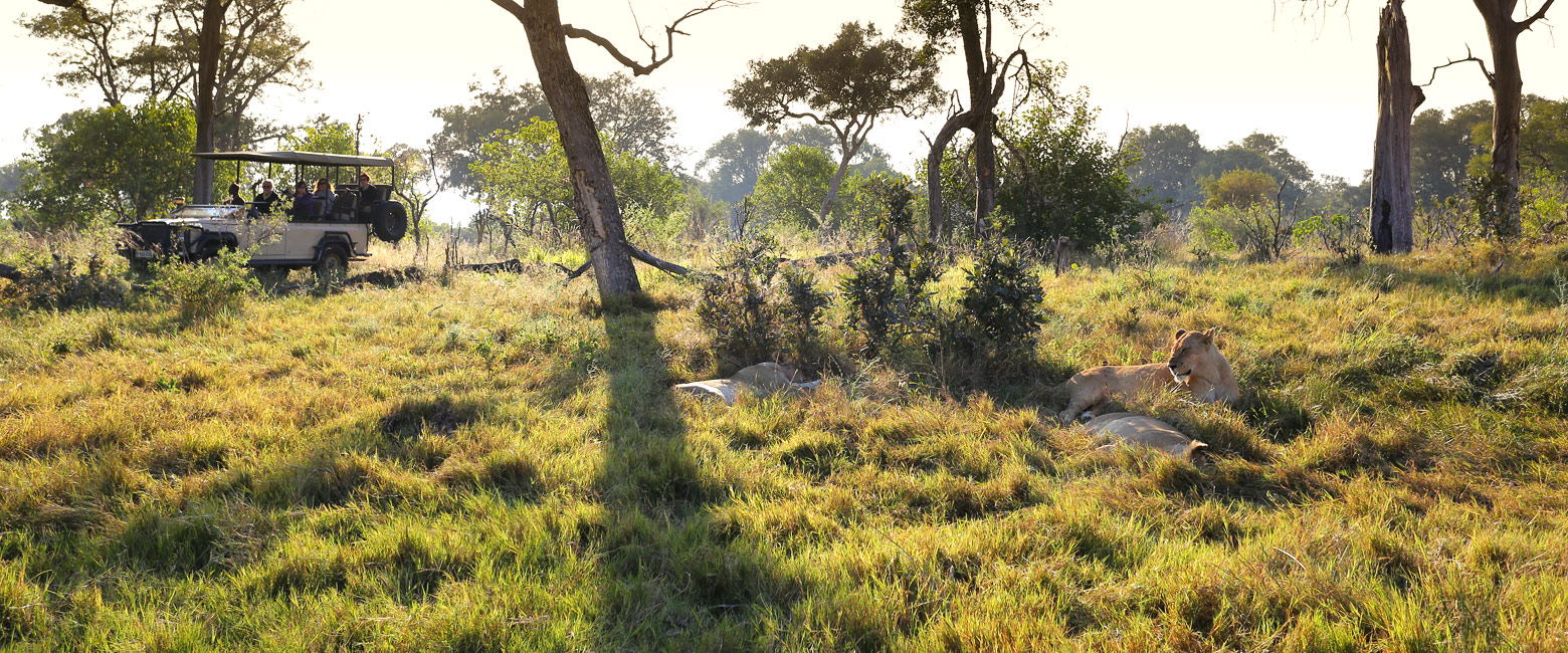 let us know your thoughts about Botswana and we will help you create the perfect safari