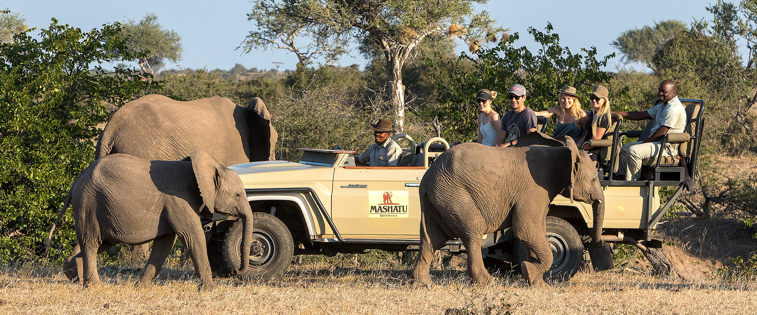 let us know your thoughts about Botswana and we will help you create the perfect safari
