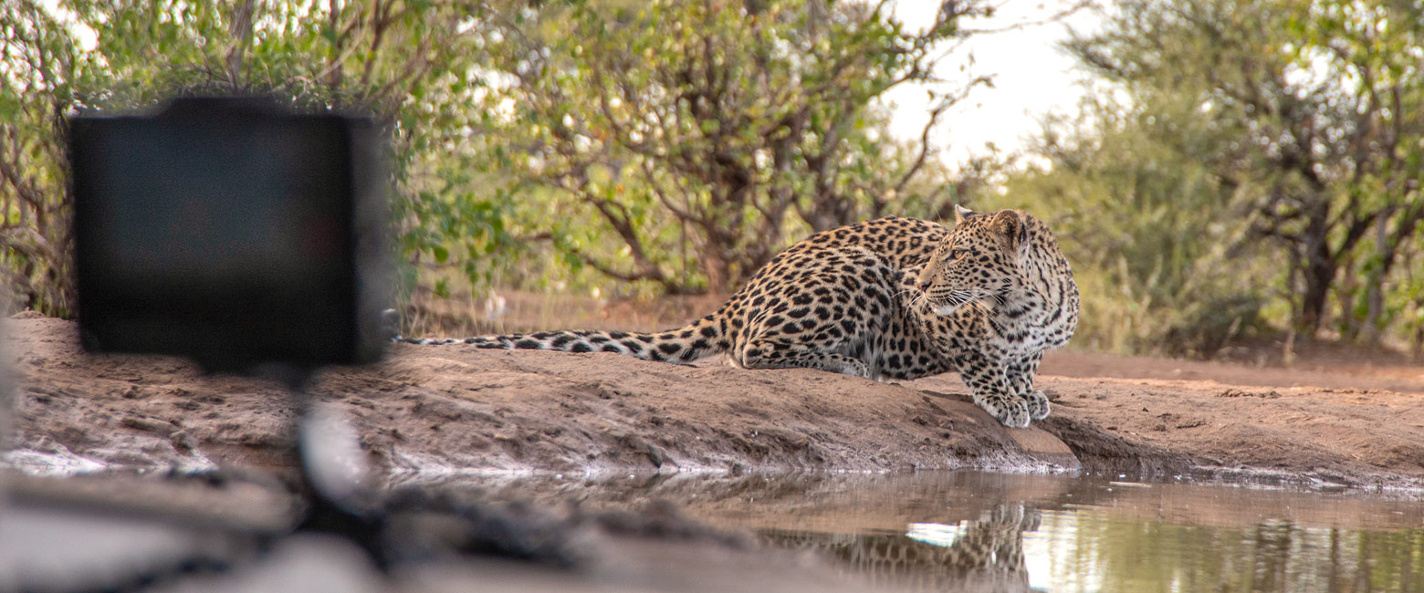 let us know your thoughts about Botswana and we will help you create the perfect safari