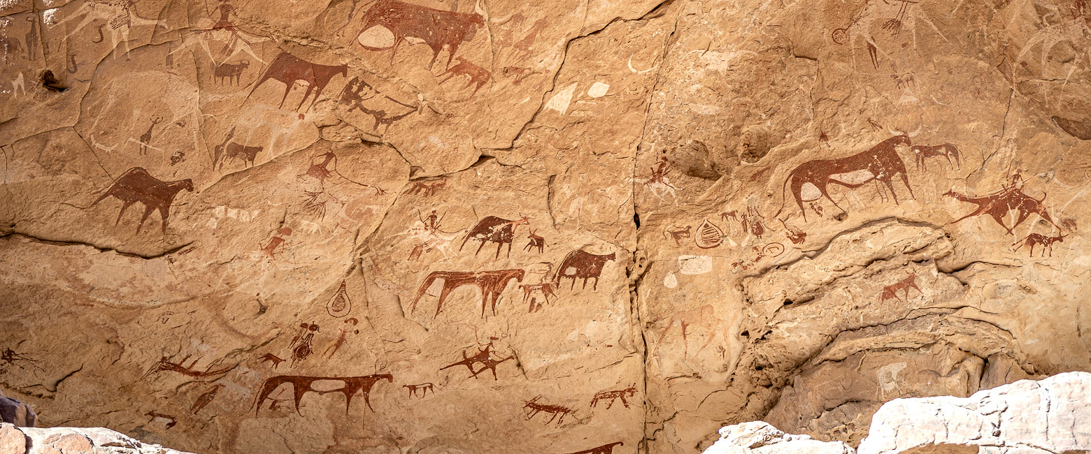 let us know your thoughts about Chad and we will help you create the perfect safari 