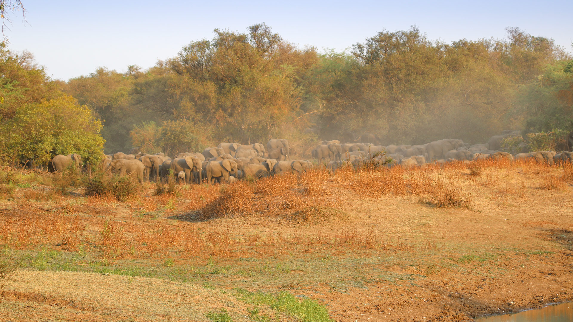 Safari in Zakouma