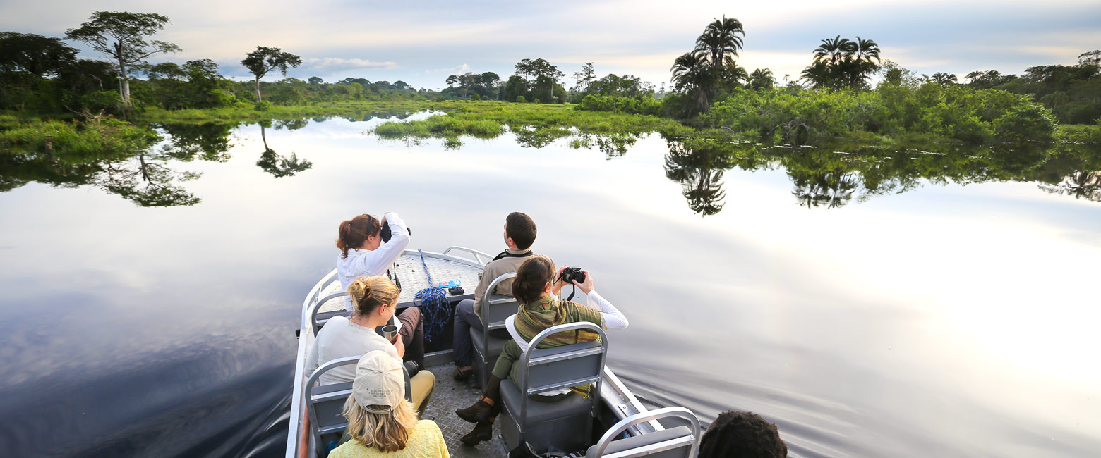 let us know your thoughts about Congo and we will help you create the perfect safari