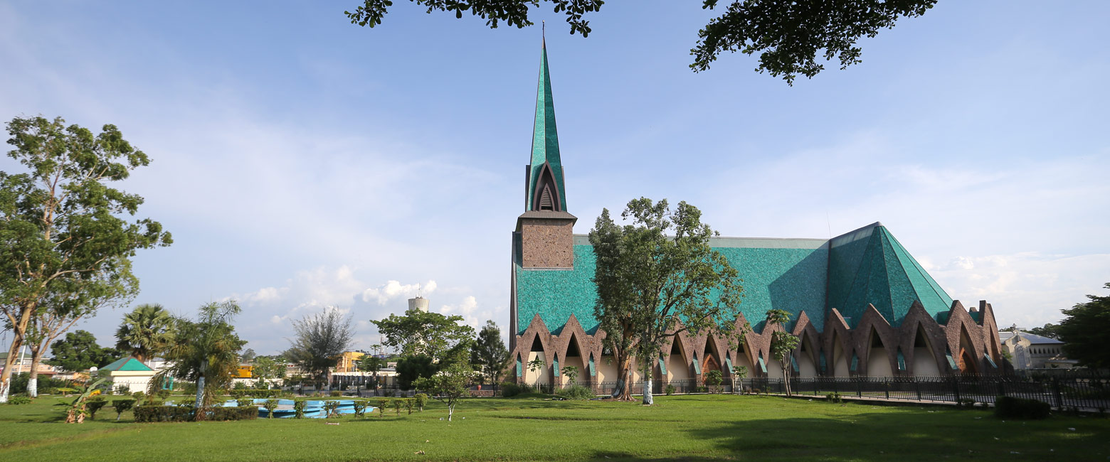 let us know your thoughts about Congo and we will help you create the perfect safari 