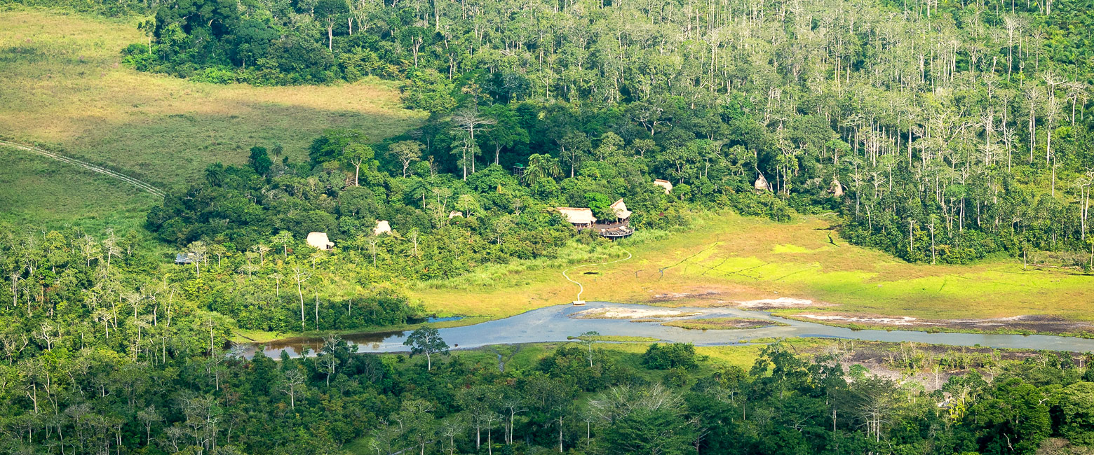 is a very remote reserve in Congo, home to lowland gorillas 