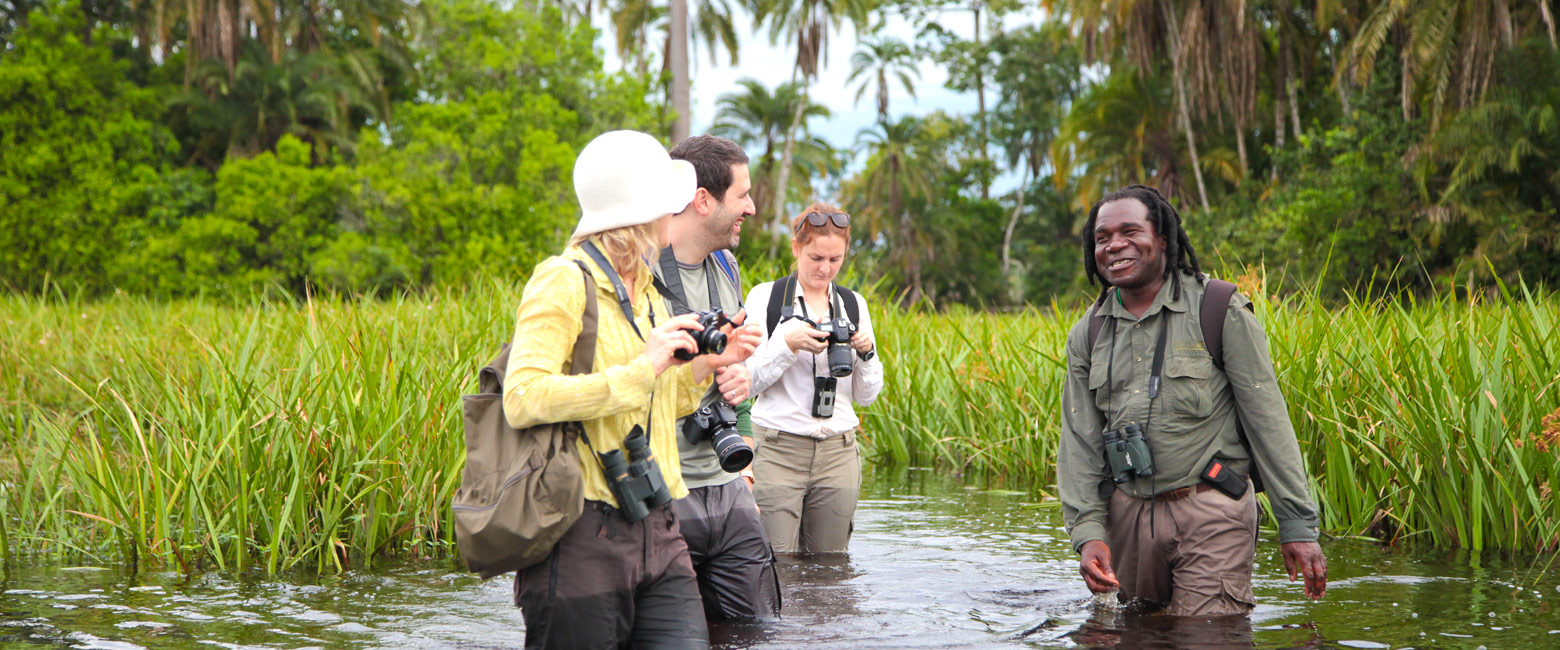 let us know your thoughts about Congo and we will help you create the perfect safari 