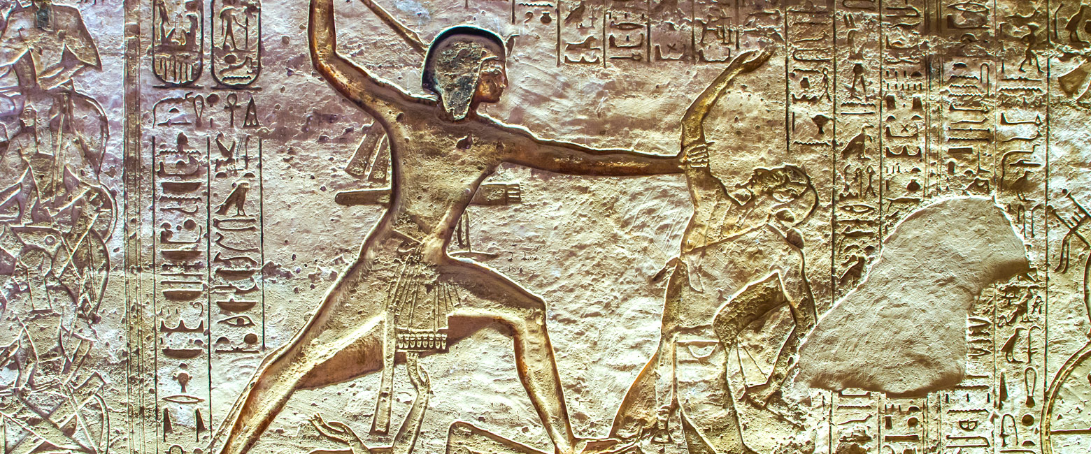 let us know your thoughts about Egypt and we will help you create the perfect safari