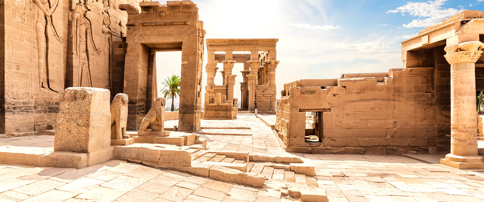 let us know your thoughts about Egypt and we will help you create the perfect safari 