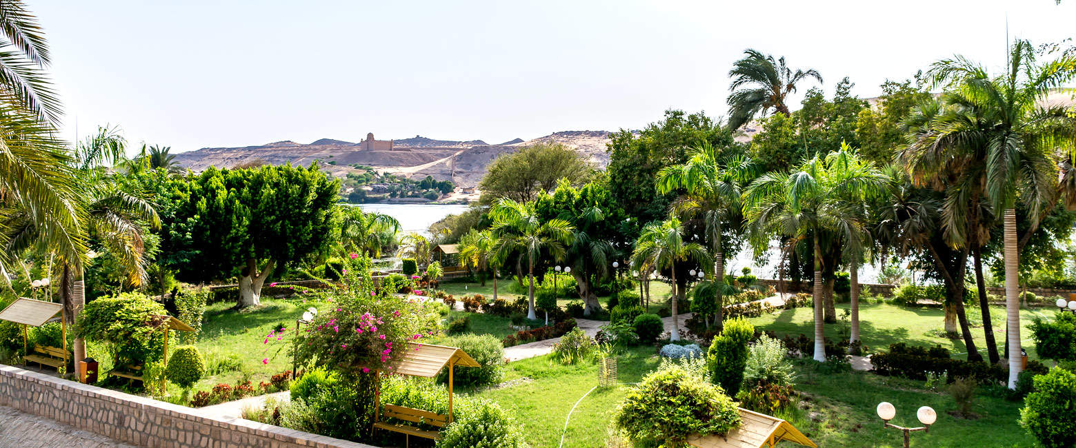 let us know your thoughts about Egypt and we will help you create the perfect safari
