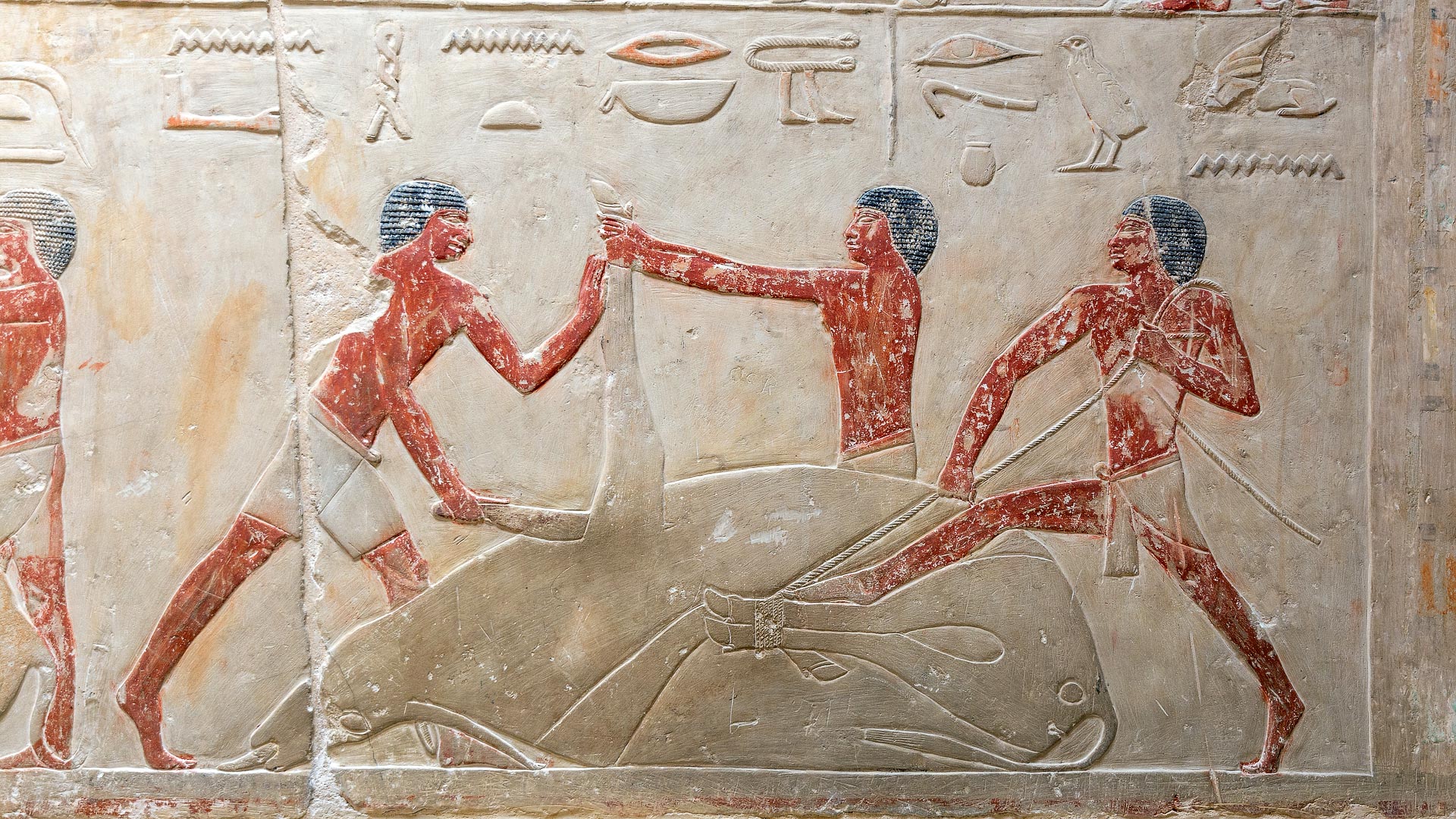 Le Meridien Pyramids - ATR