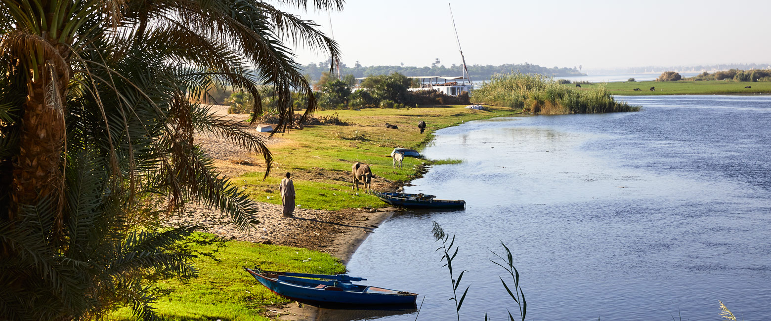 let us know your thoughts about Egypt and we will help you create the perfect safari