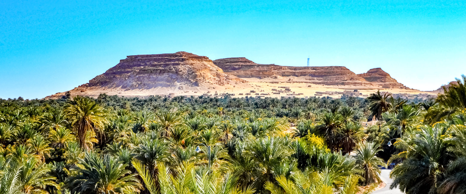 is a fabulous and historic oasis in the remote northwest of Egypt 
