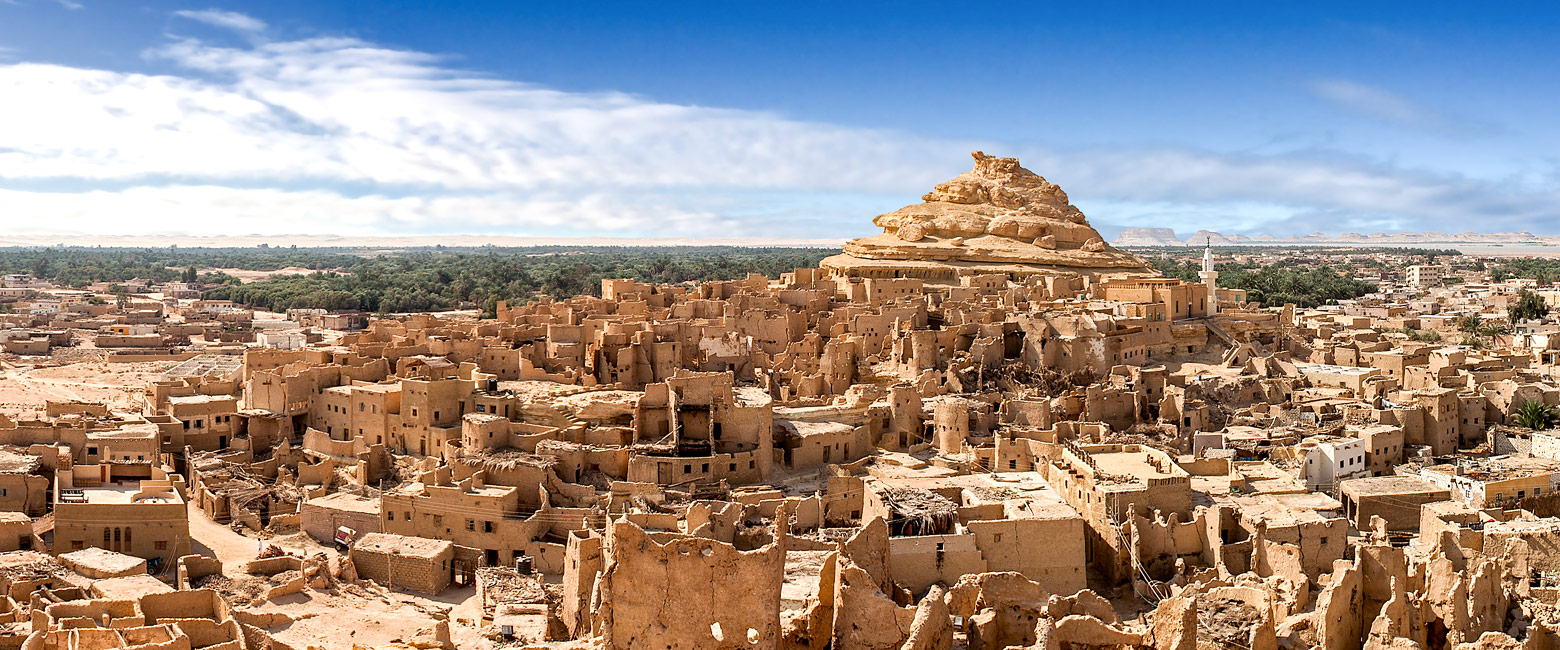 let us know your thoughts about Egypt and we will help you create the perfect safari 