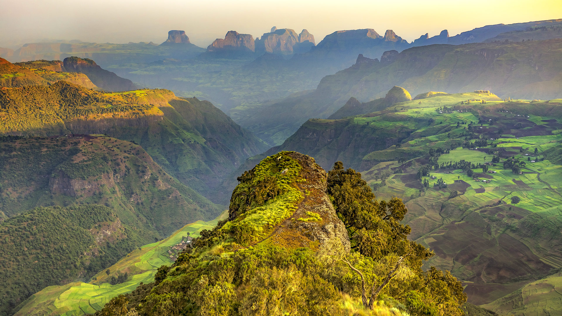 Safari in Ethiopia