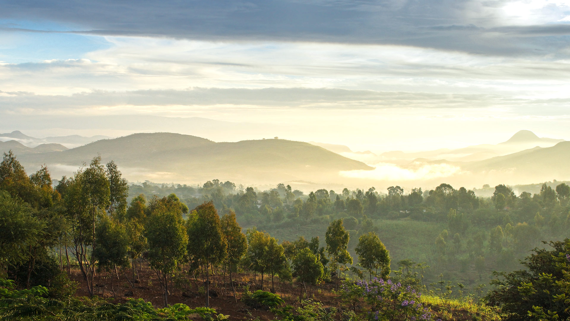 Safari to the Abyssinian Rift Valley