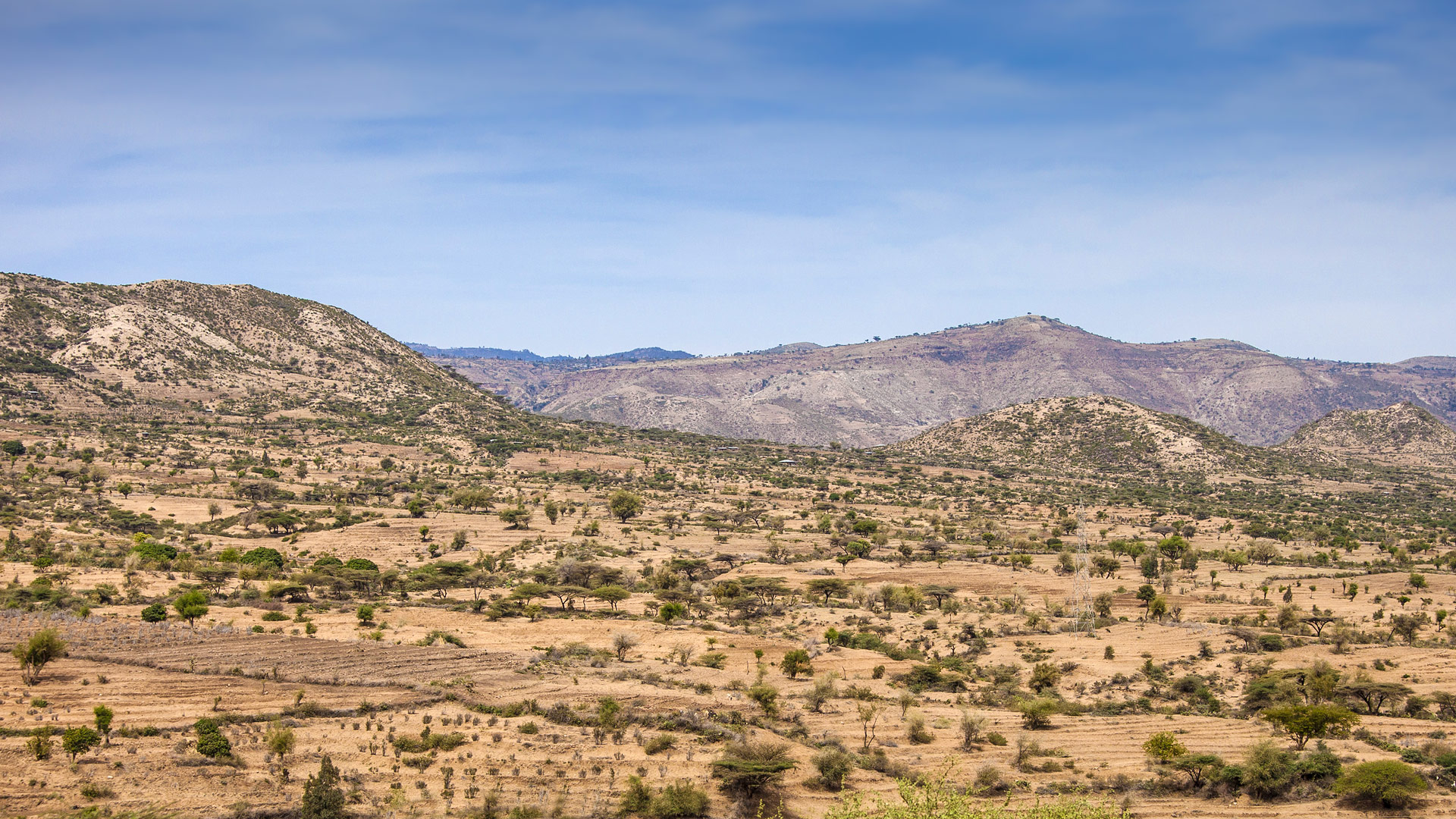 Safari to Aledeghi