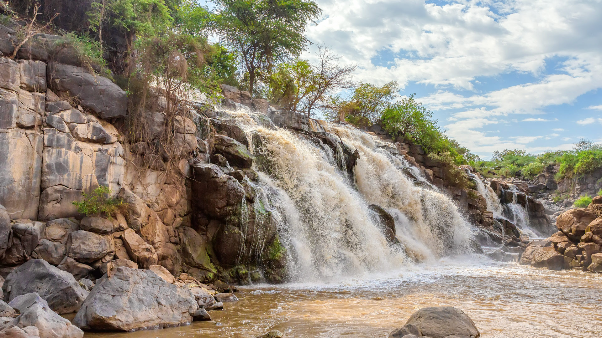 Safari to Awash