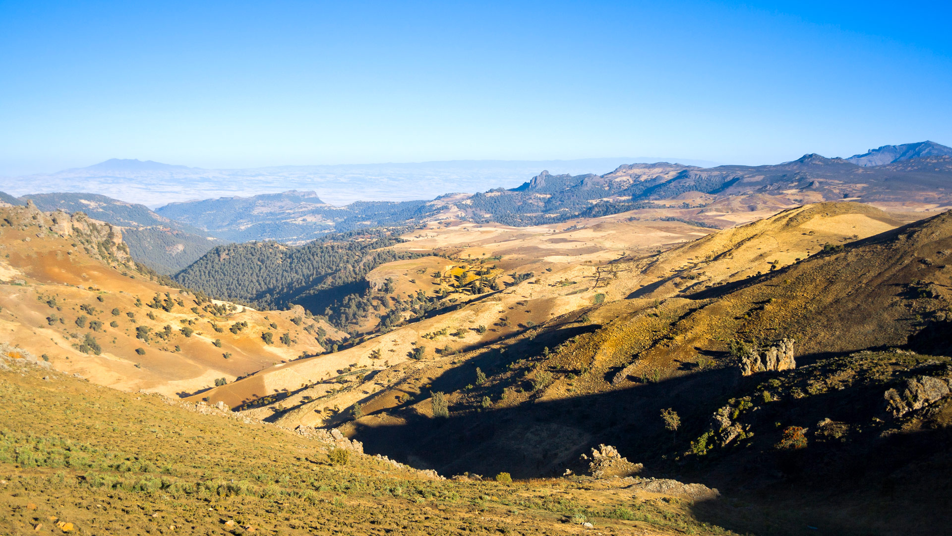 Bale Mountain Lodge