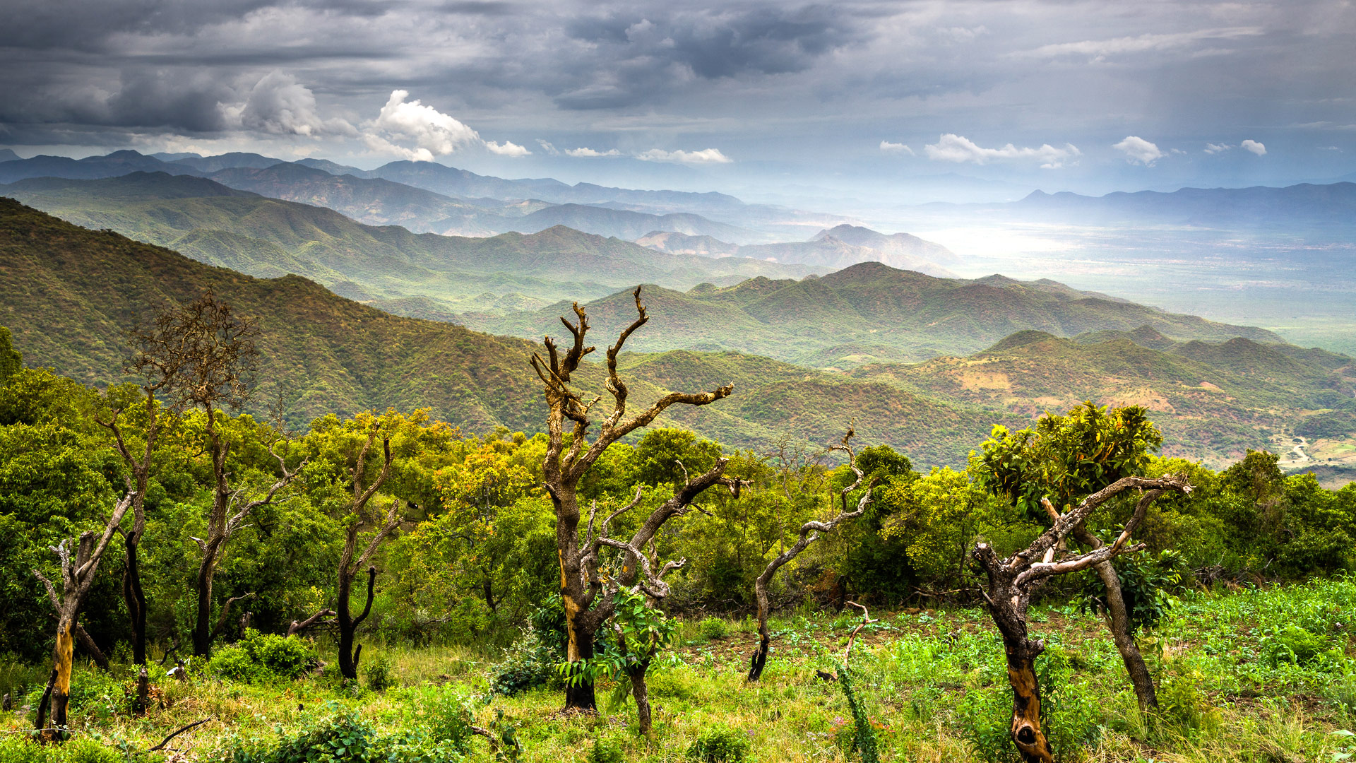 Safari to Chebera-Churchura