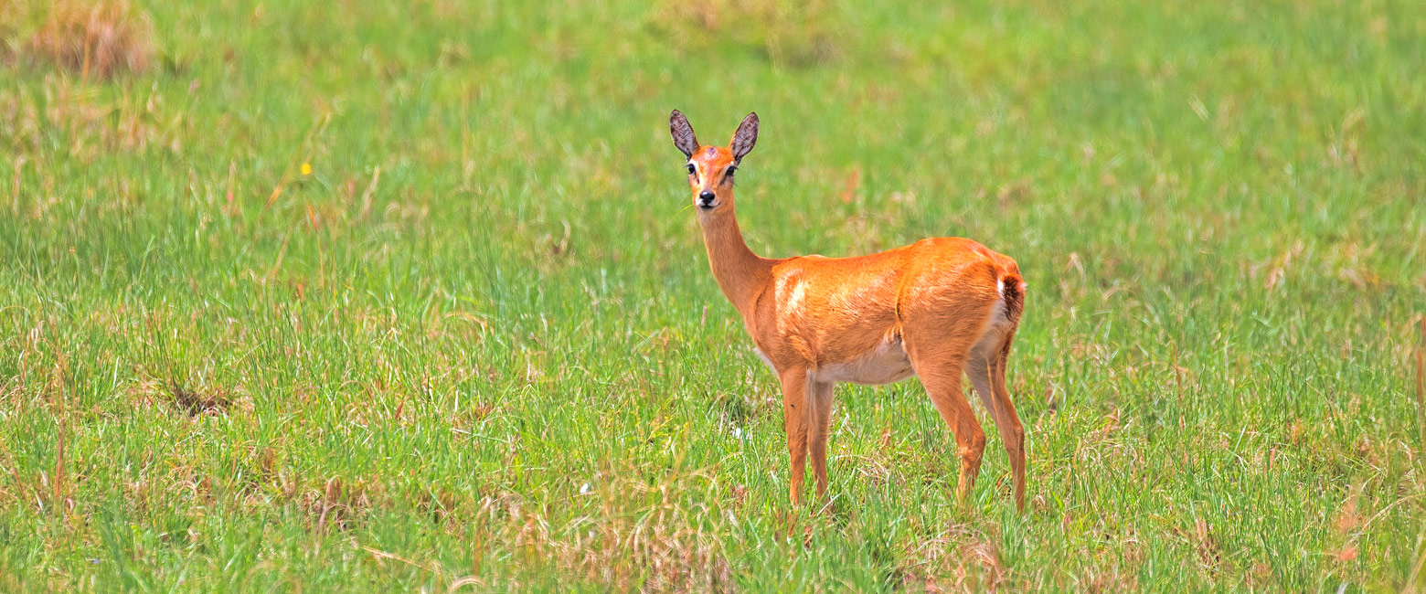 let us know your thoughts about Ethiopia and we will help you create the perfect trip