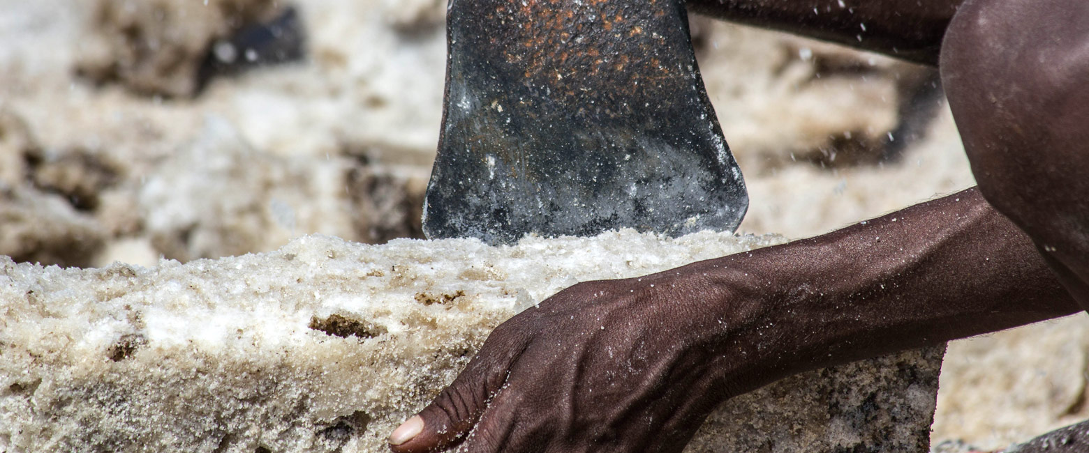 let us know your thoughts about Ethiopia and we will help you create the perfect safari