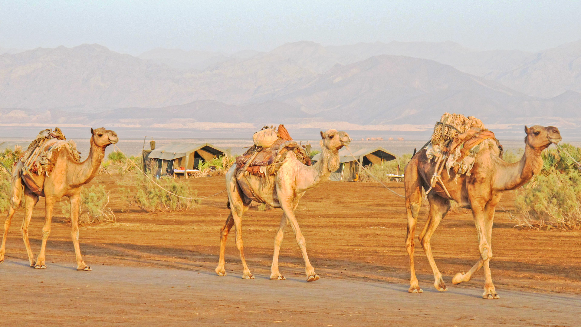 Danakil Expedition Camp