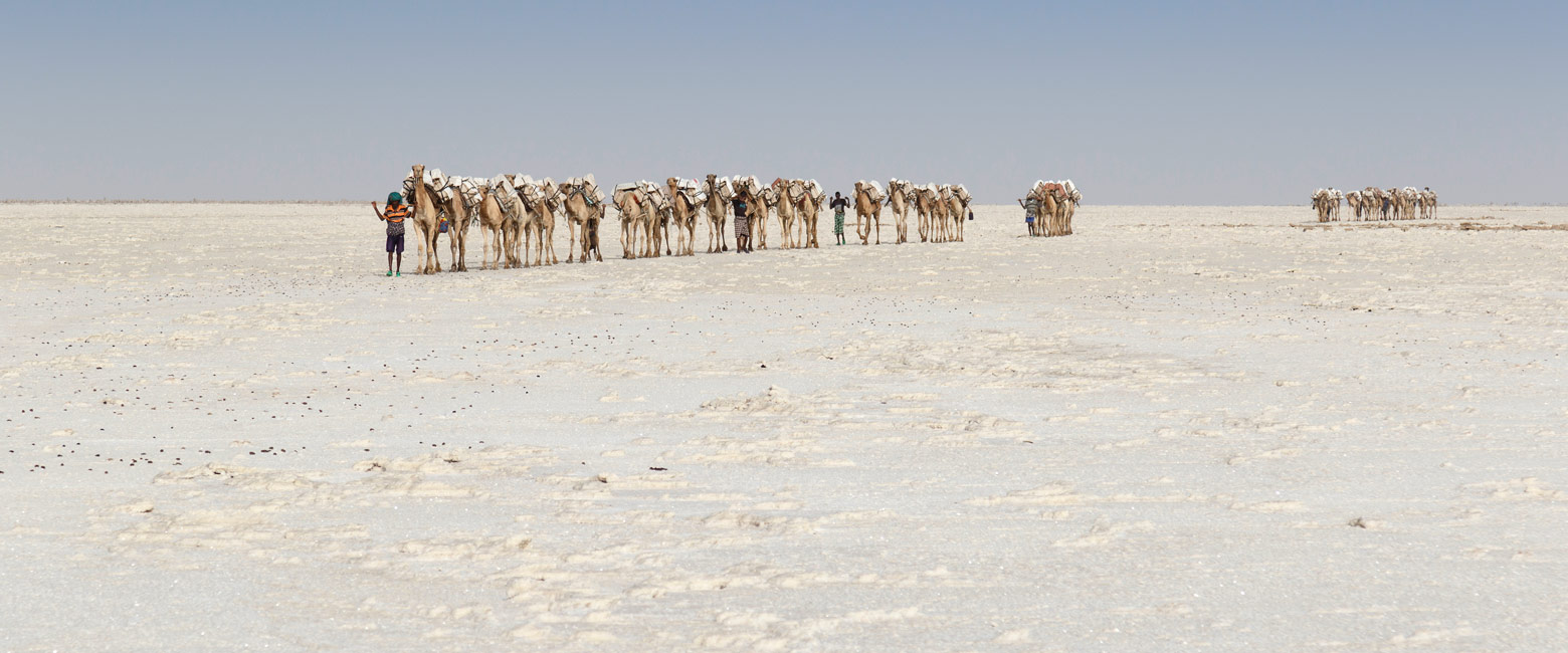 let us know your thoughts about Ethiopia and we will help you create the perfect safari