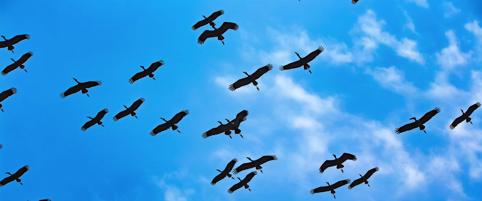 is an inaccessible reserve, with a huge migration