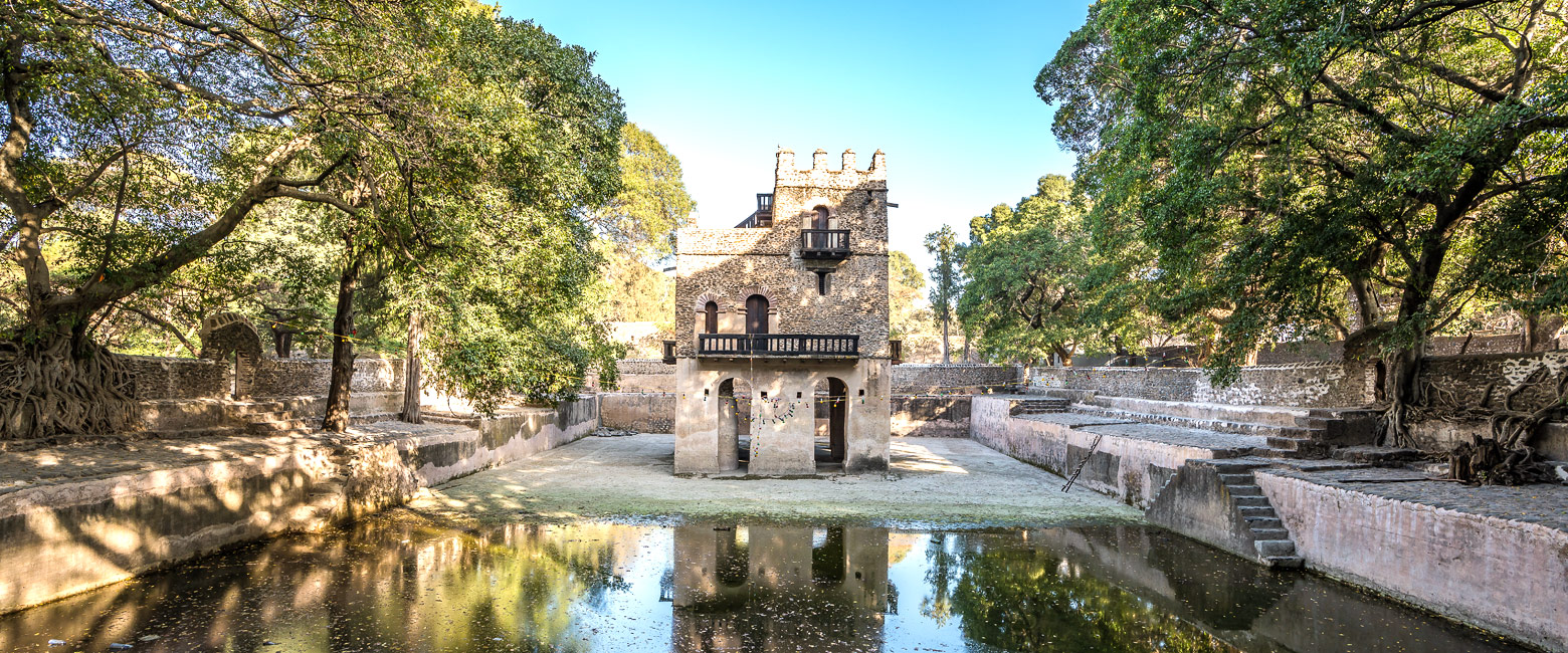 let us know your thoughts about Ethiopia and we will make sure to deliver the perfect safari 
