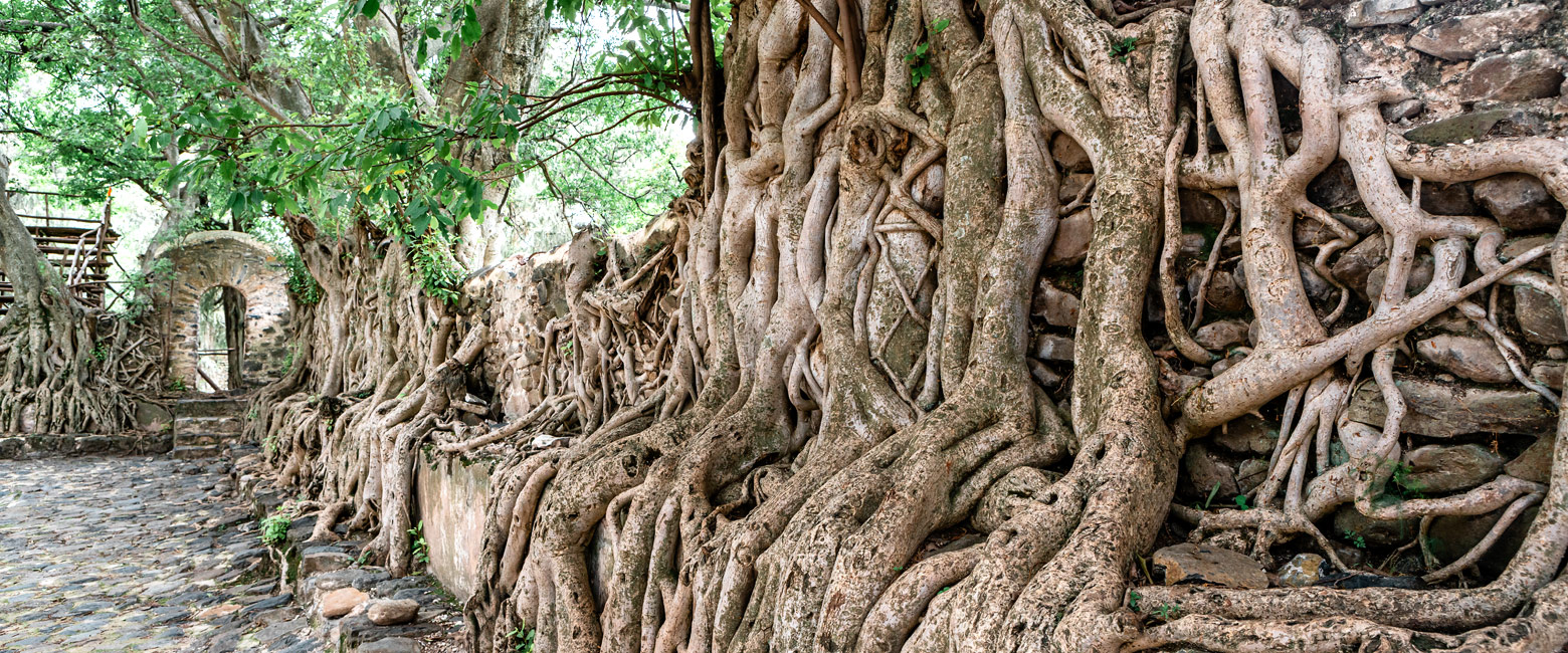 is a relatively simple and functional property in the Gondar area of northern Ethiopia