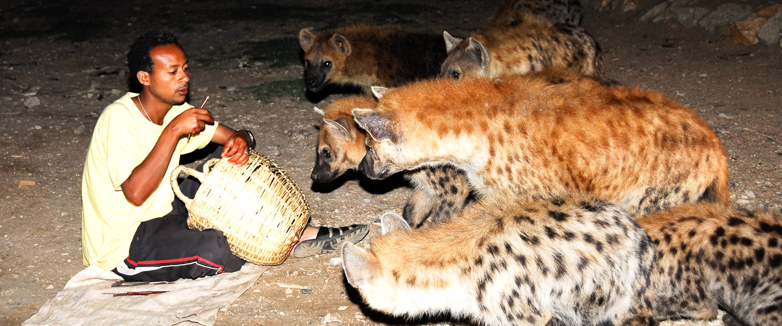 let us know your thoughts about Ethiopia and we will help you create the perfect trip 