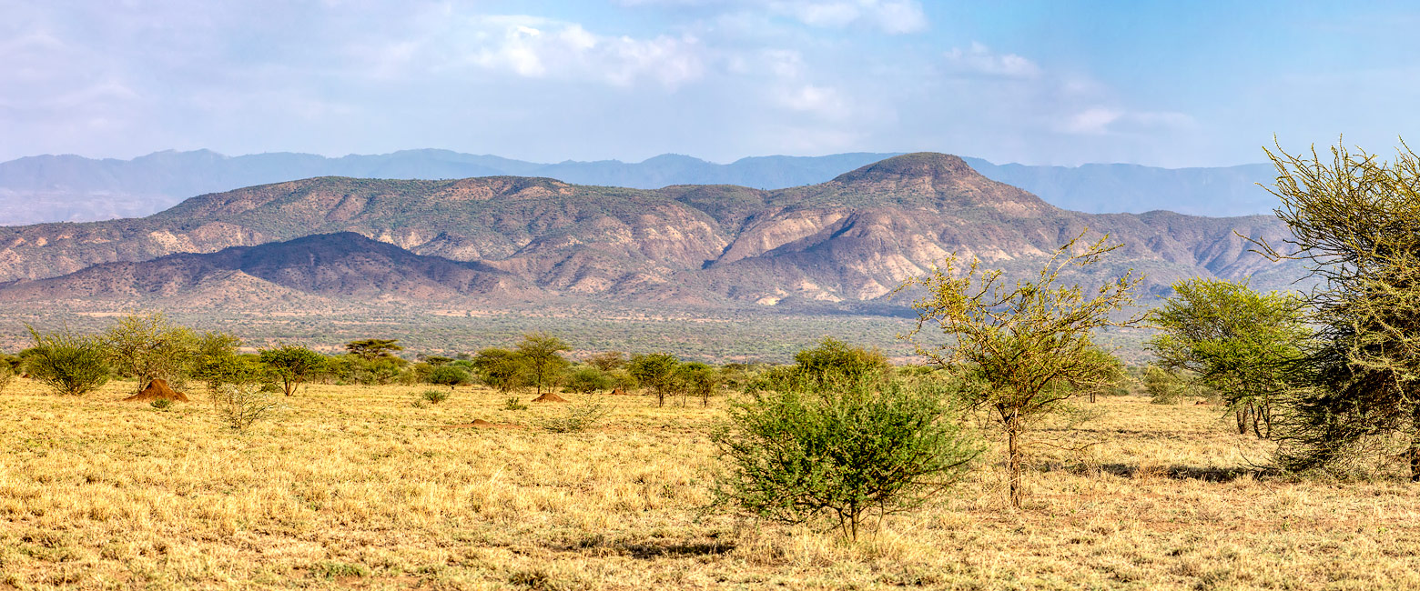 is home to some of the most important palaeontological discoveries in the world