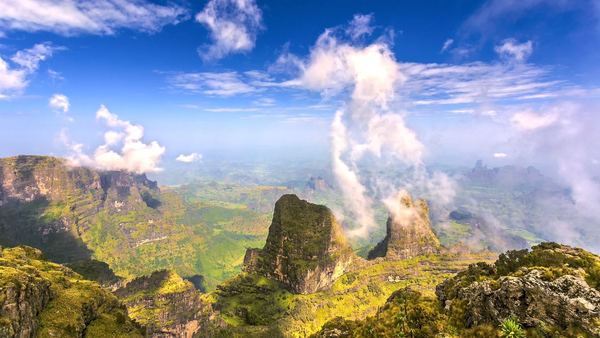 Safari to the Simien Mountains