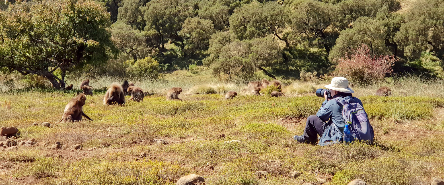is a very impressive location, home to the famous gelada baboons 