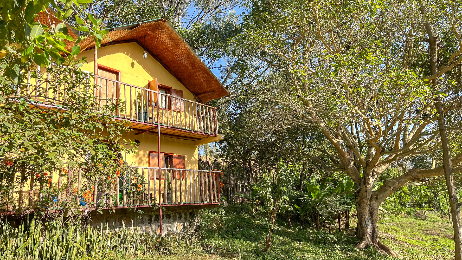 Eco Omo Lodge