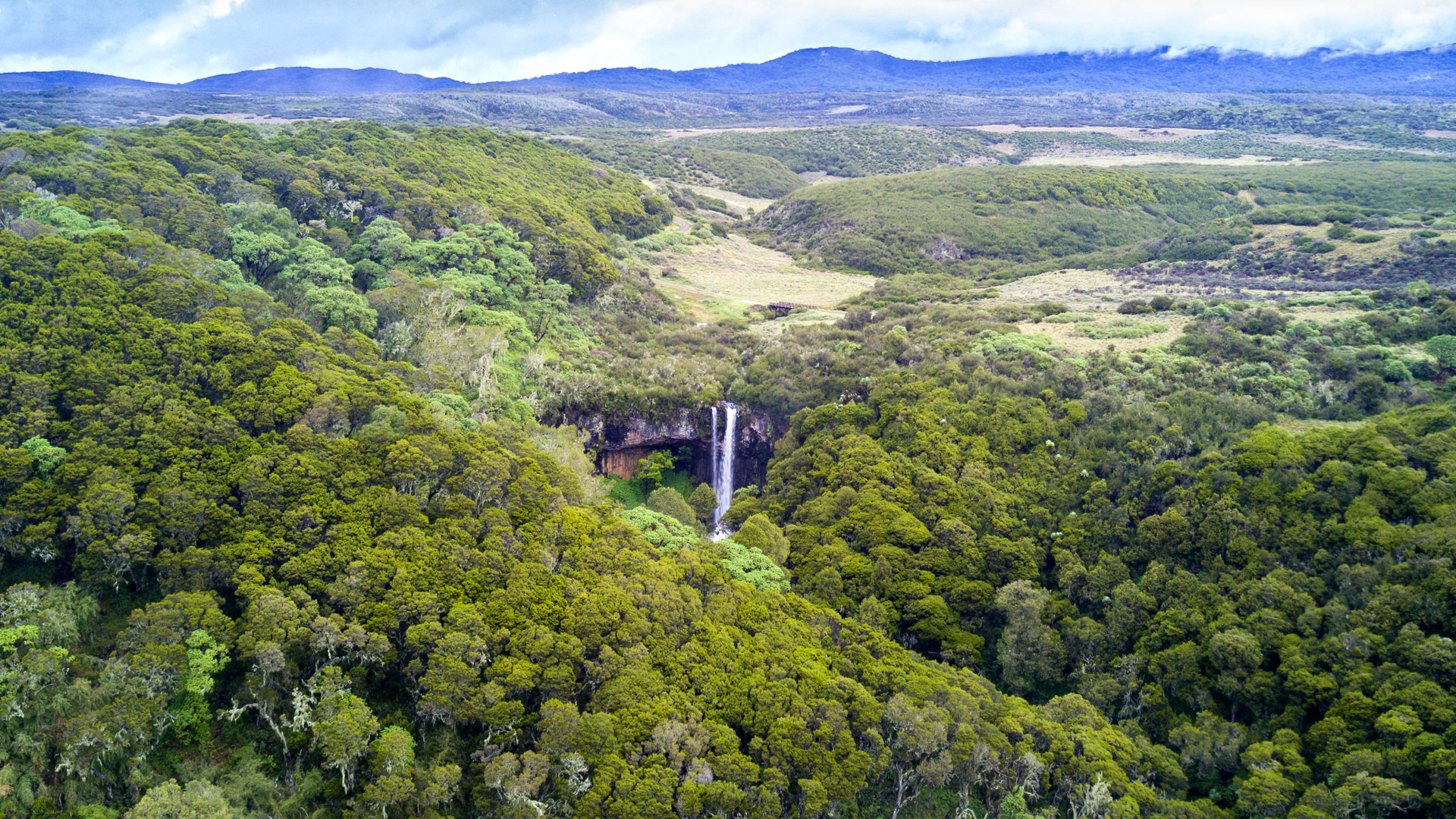 Safari in the Aberdares Range