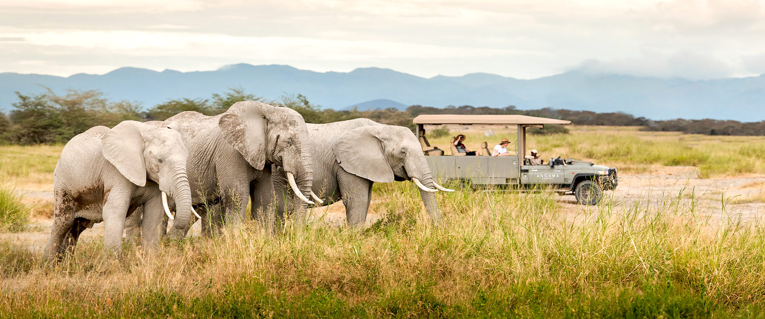 let us know your thoughts about Kenya and we will help you create the perfect safari 